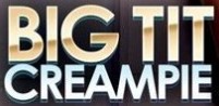 BigTitCreamPie logo