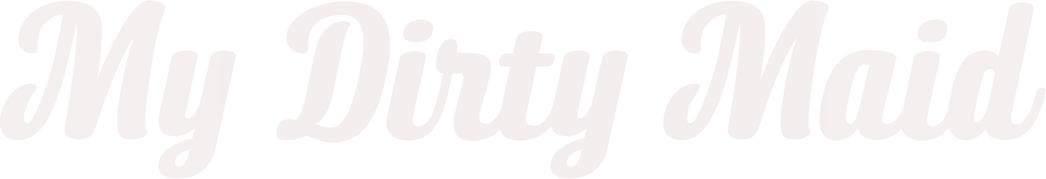 MyDirtyMaid logo